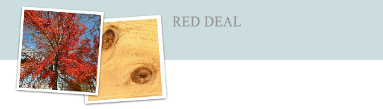 Red Deal Doors